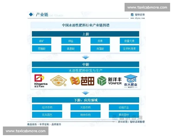 以市场即时反应为核心解析政策变化对投资行为的影响路径整体趋势研判